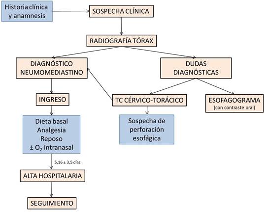Diagrama

Descripción generada automáticamente