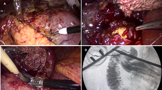 Carne y vegetales

Descripción generada automáticamente con confianza media