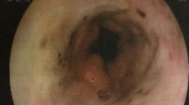 Captura de Pantalla 2023-06-29 a la(s) 19.58.41.png