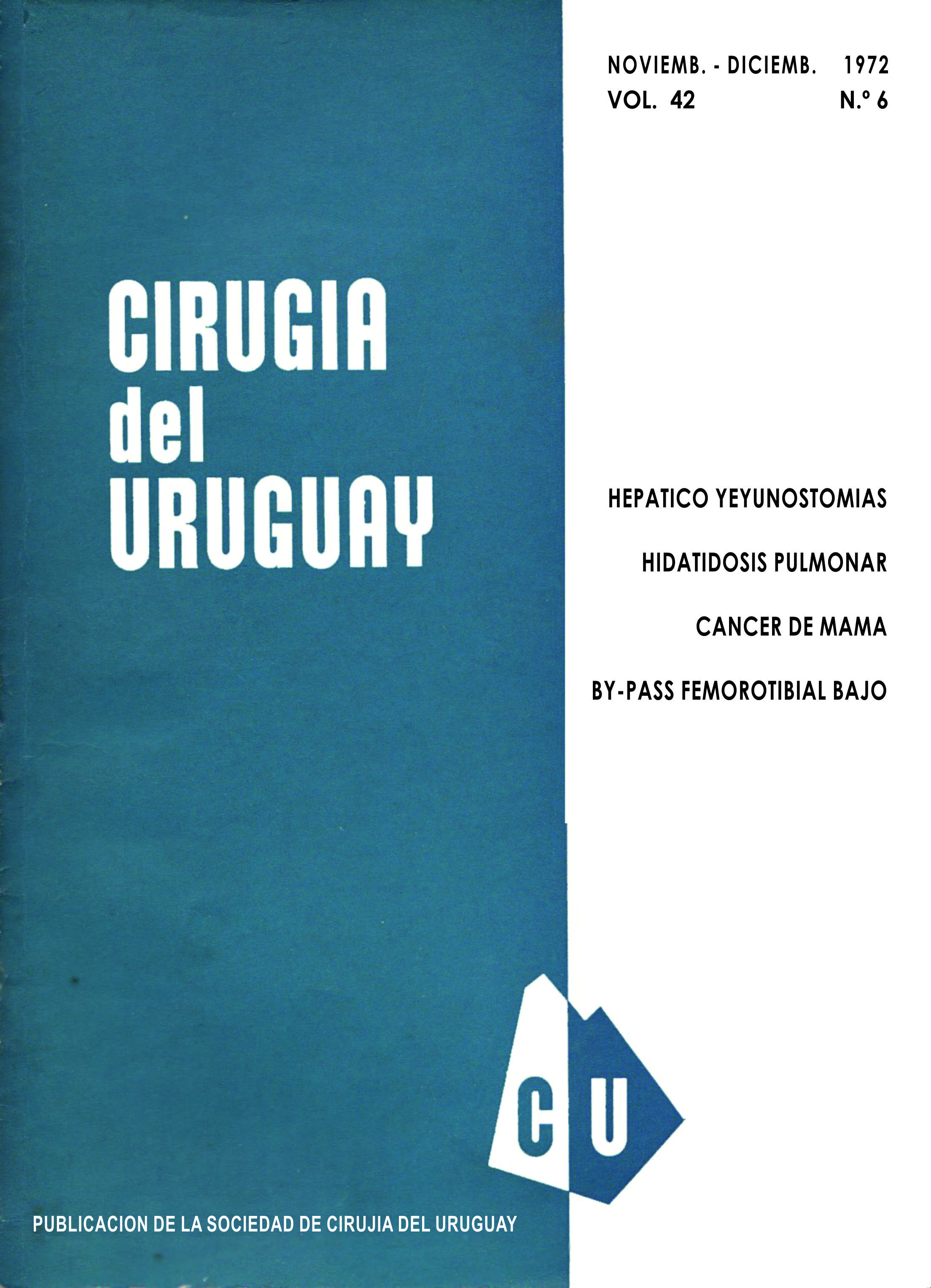 					View Vol. 42 No. 6 (1972): Cirugía del Uruguay
				