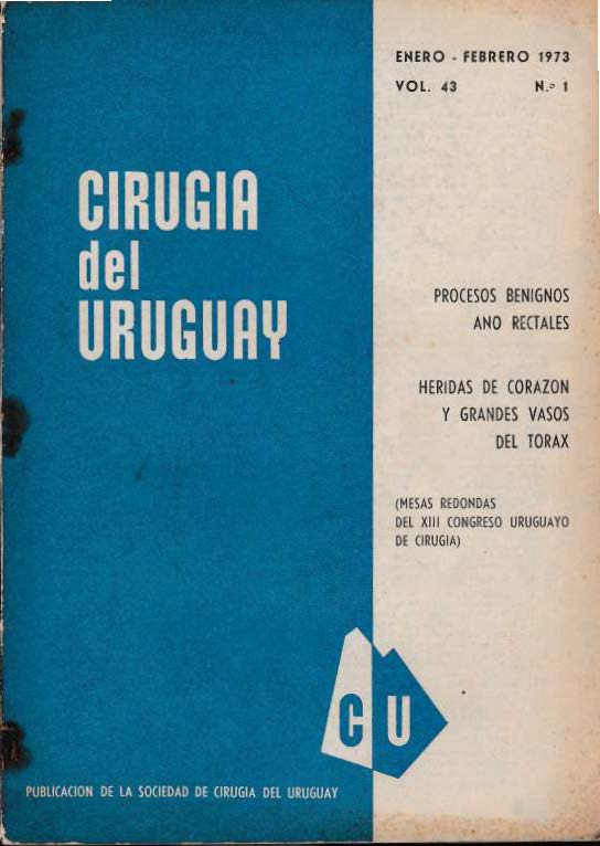 					View Vol. 43 No. 1 (1973): Cirugía del Uruguay
				