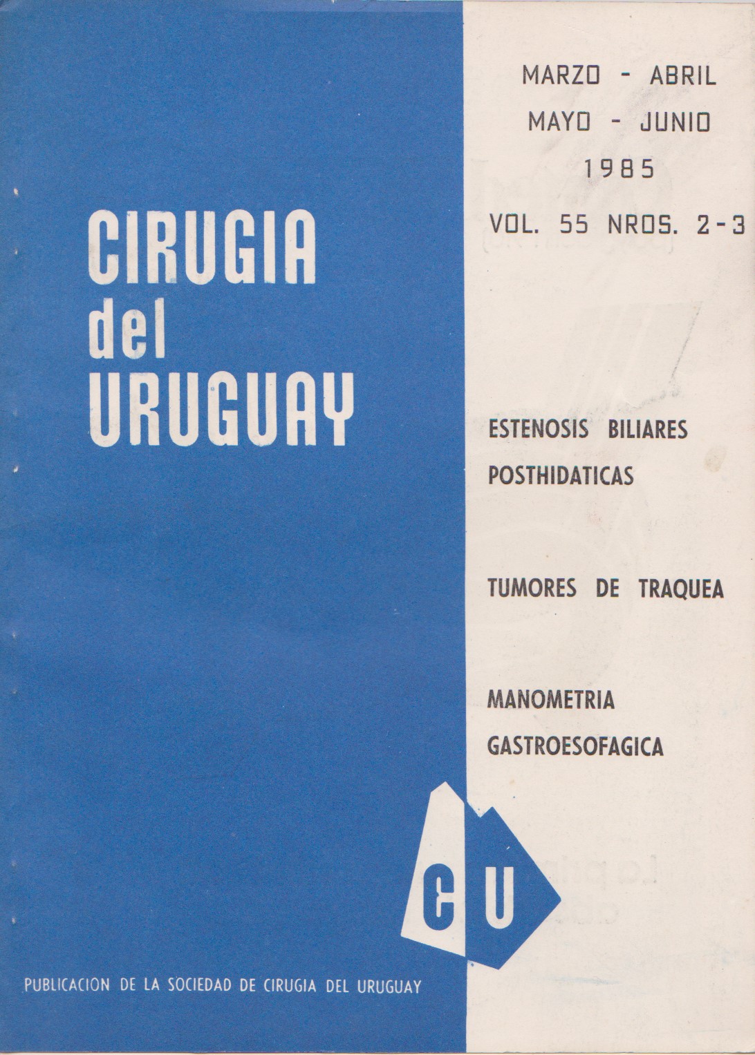 					View Vol. 55 No. 2-3 (1985): Cirugía del Uruguay
				
