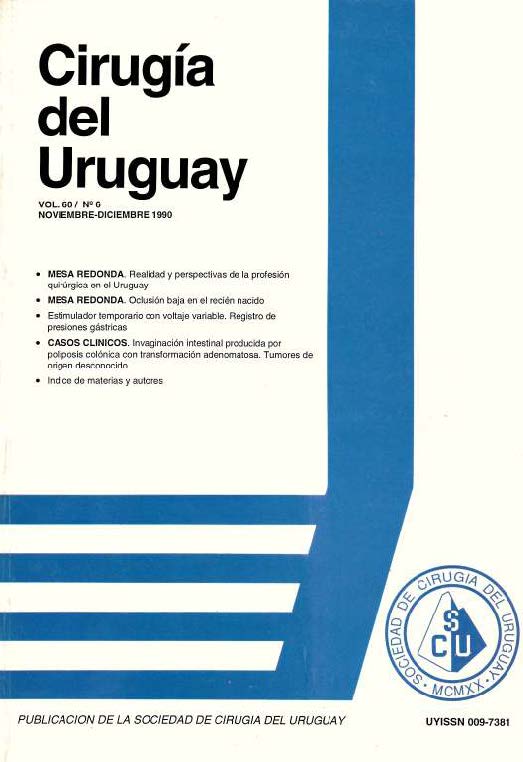 					View Vol. 60 No. 6 (1990): Cirugía del Uruguay
				