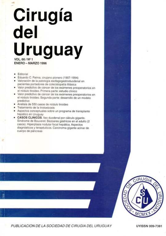 					View Vol. 66 No. 1 (1996): Cirugía del Uruguay
				